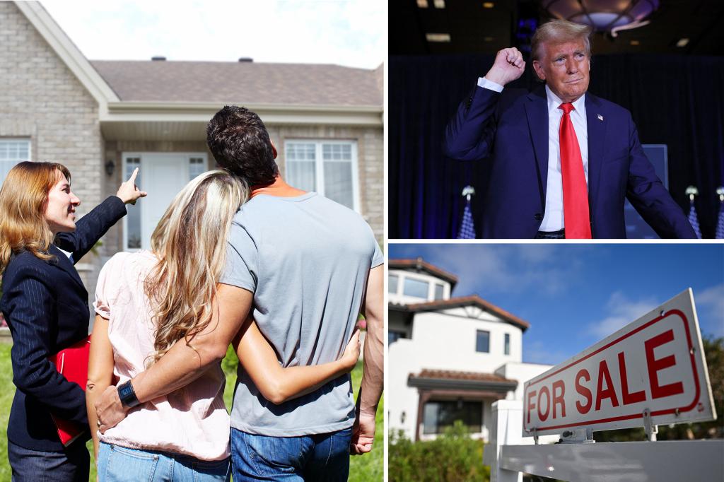 Trump's election victory boosts Republican homebuyer optimism